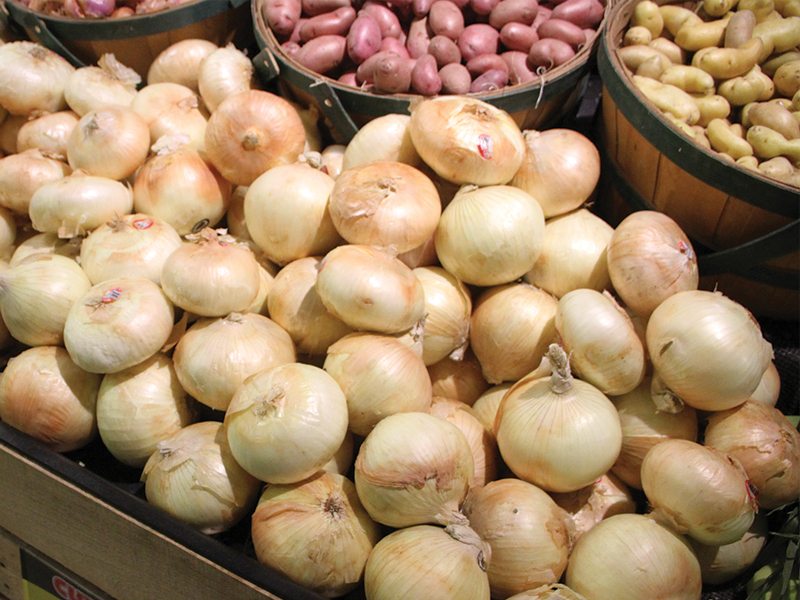 Spring Selling - Vidalia Onions