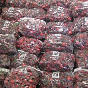 Redner Cherries