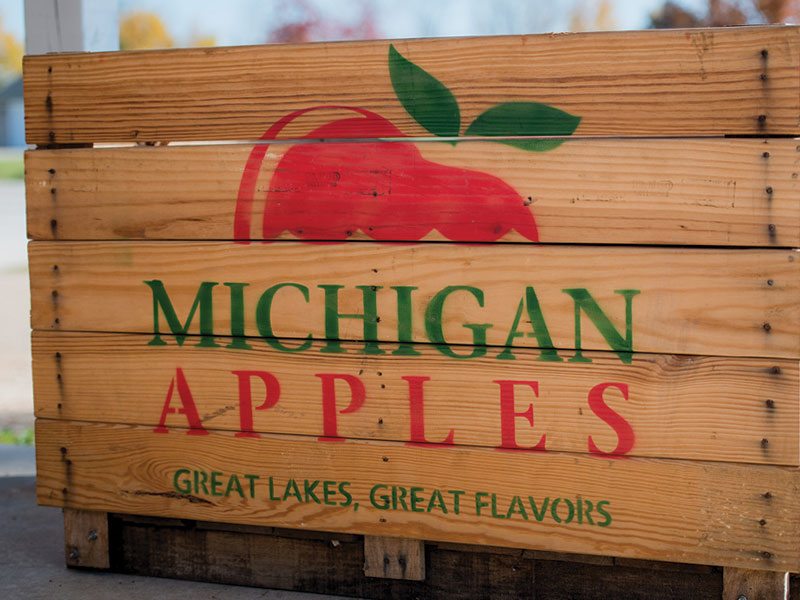Michigan Apples