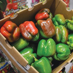 Bell Peppers