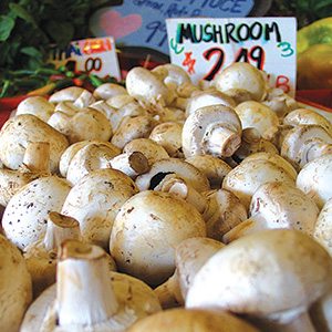 White Mushrooms