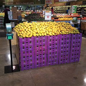 Yellow Squash Retail Display