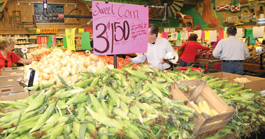 sweet corn business plan in india