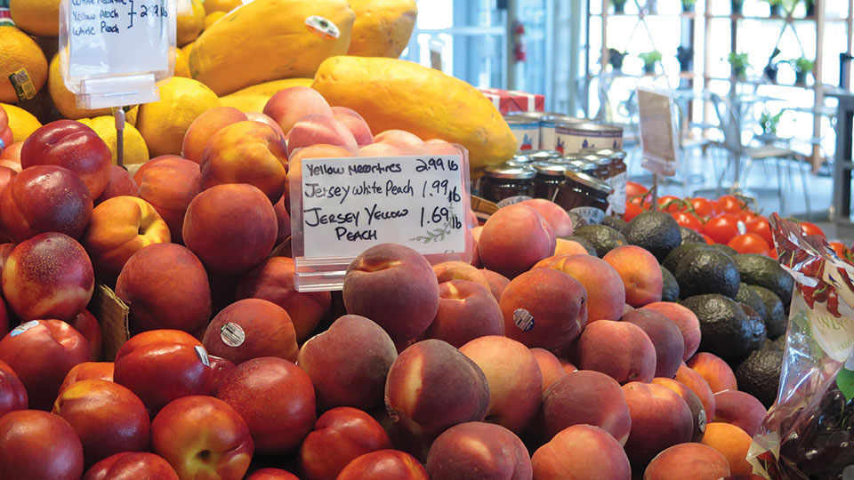 Ardmore Produce Produce Business