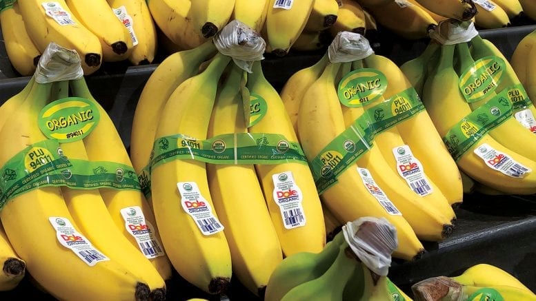 Fresh Bunch of Organic Bananas  Central Market - Really Into Food