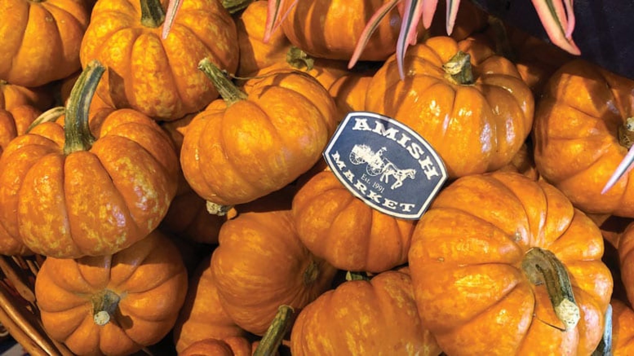 AMISH MARKET (WEST) Produce Business