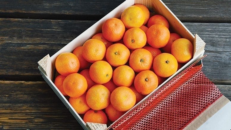 How Sumo Citrus Became The Biggest Fruit Trend Of 2019