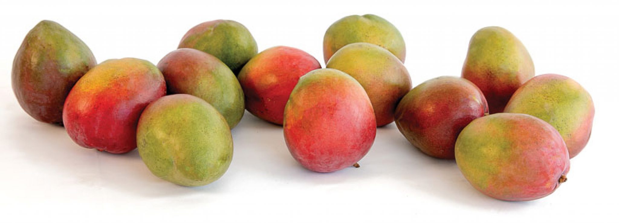 Mangos Reaching New Heights Produce Business