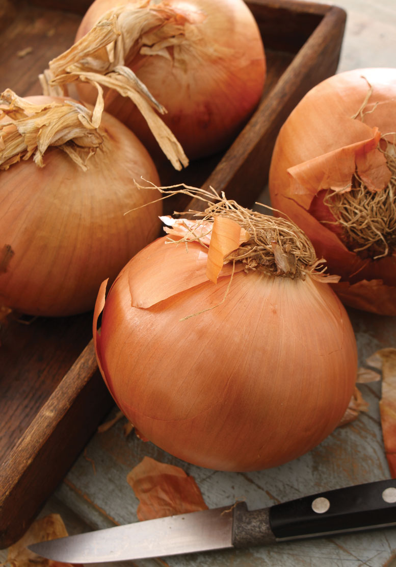 Masters of Merchandising IDAHOEASTERN OREGON ONION COMMITTEE