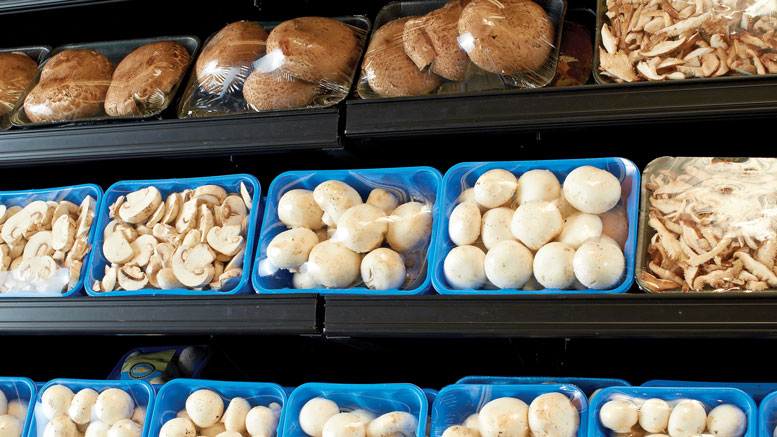 Giorgio Sliced Mushrooms - Shop Mushrooms at H-E-B