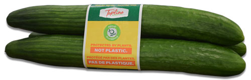 Toutfruit Evocao, world food innovation award du meilleur produit artisan