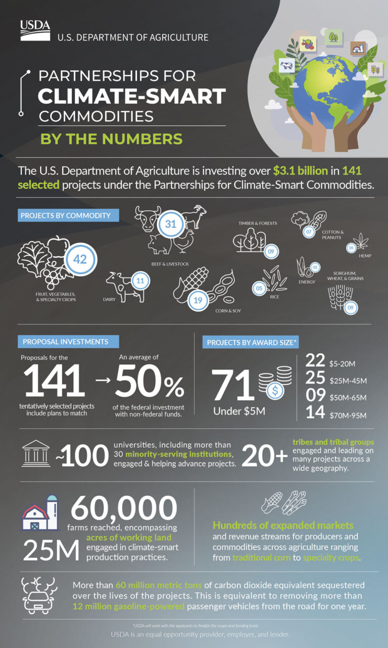The Climate Smart Puzzle Produce Business